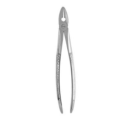 Extracting Forceps #MD1